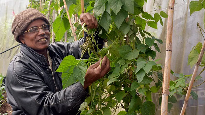 Vegetable farmer in Sri Lanka