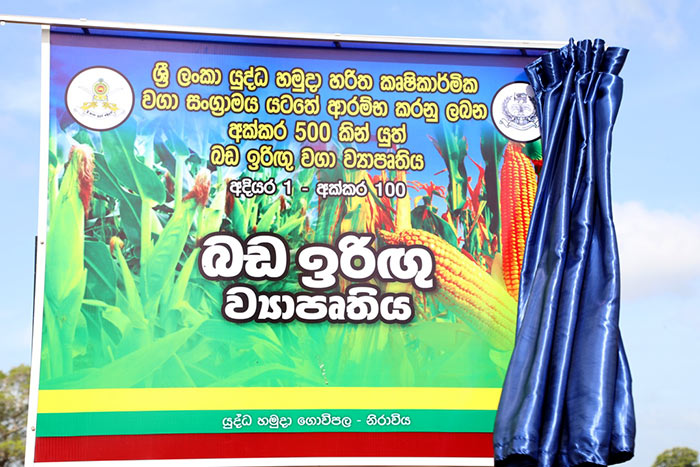 Sri Lanka Army Inaugurates Stage 1 of Maize Cultivation in Niraviya Farm