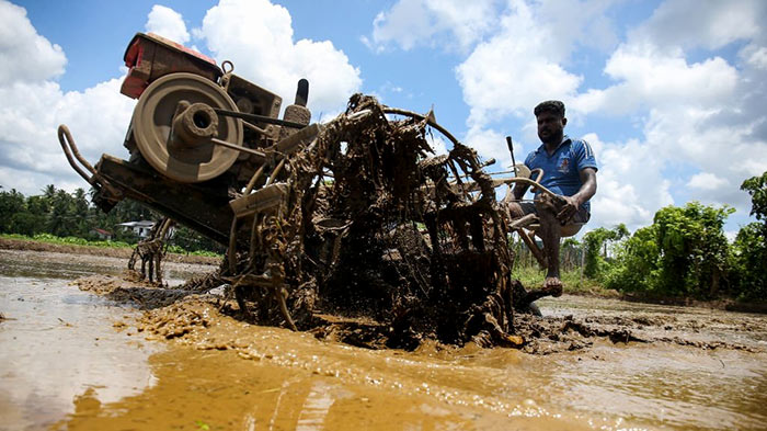 Sri Lankan farmer