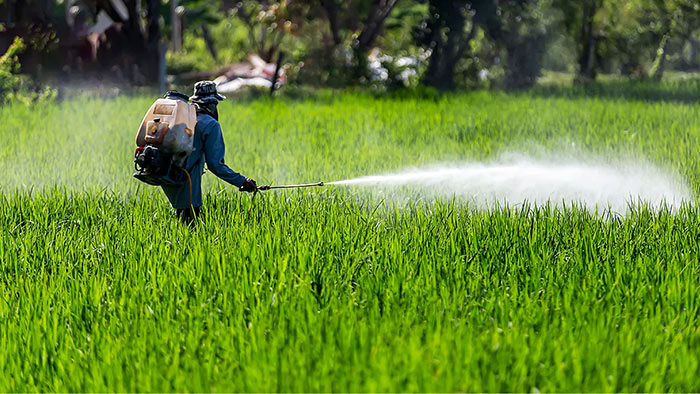 Farmer sprays glyphosate