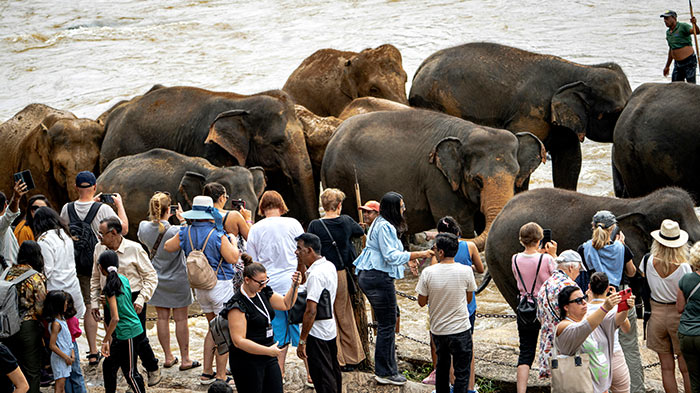 Sri Lanka tourism