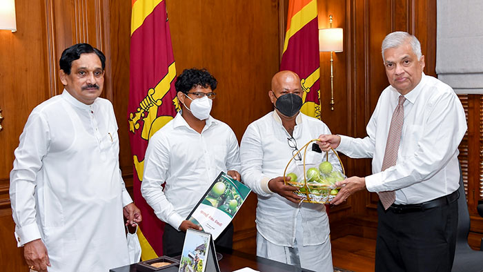 Maiden apple harvest produced in Sri Lanka presented to President