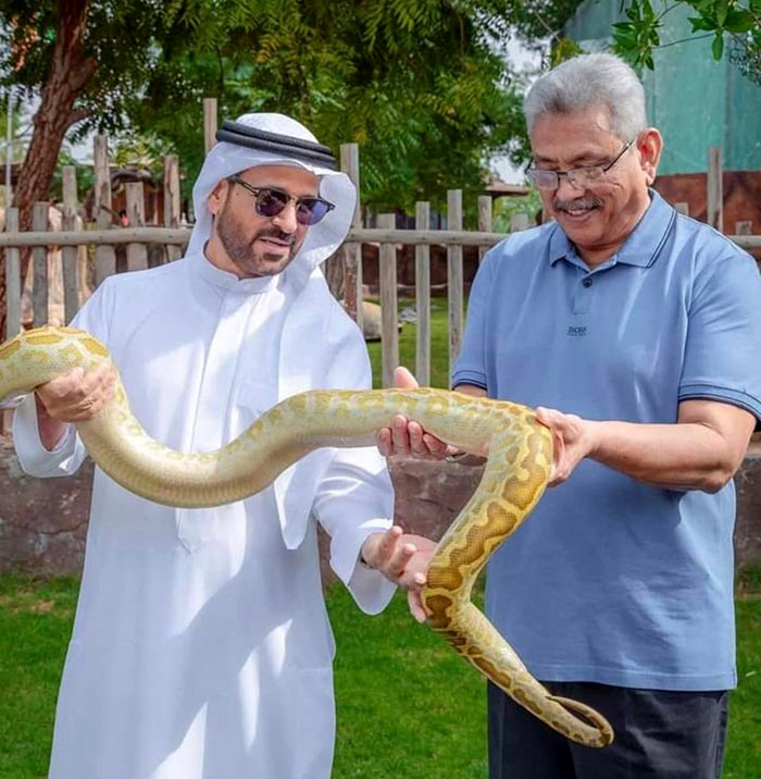 Former Sri Lanka President Gotabaya Rajapaksa is in Dubai