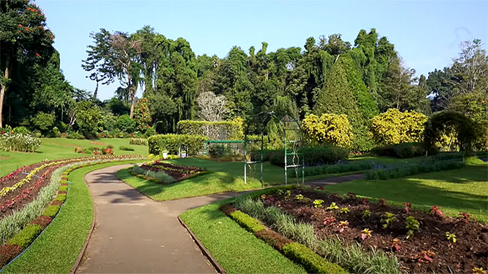 Royal botanical gardens in Peradeniya, Sri Lanka