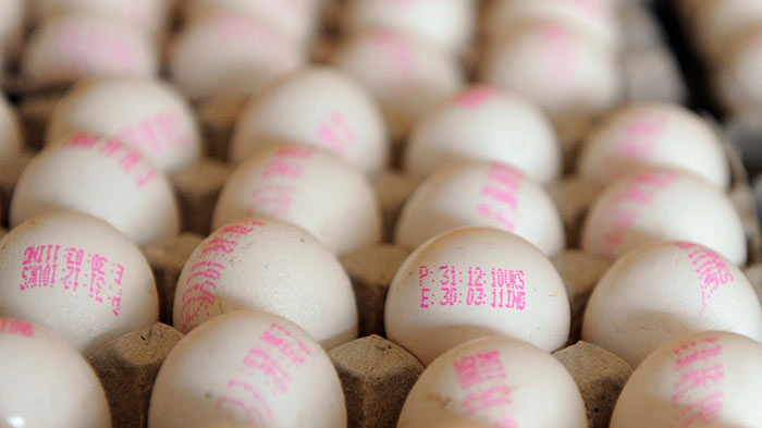 Imported Indian eggs in Sri Lanka