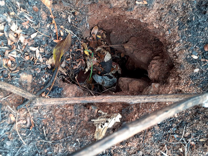 Explosives found in the Victoria reserve in Sri Lanka