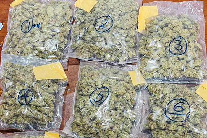 Kush cannabis