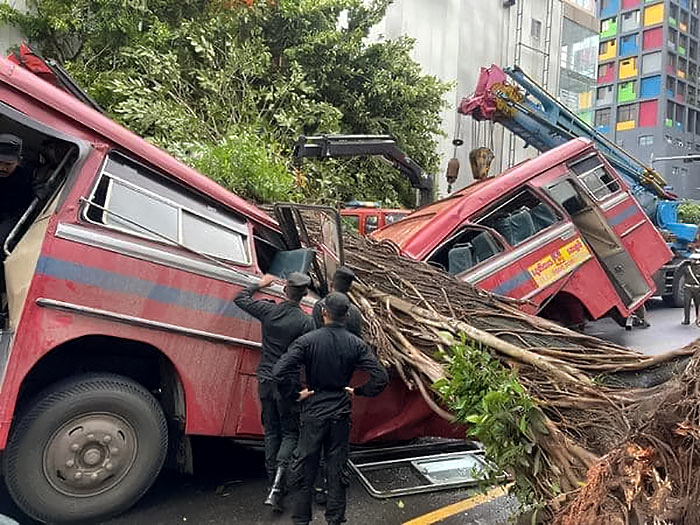 Tree falls on moving bus