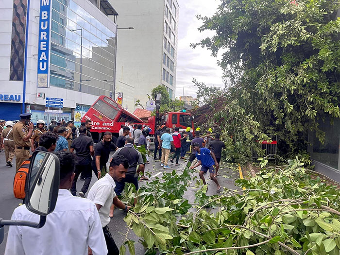 Tree falls on moving bus