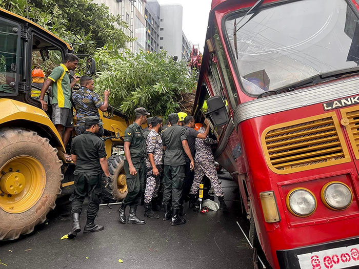 Tree falls on moving bus