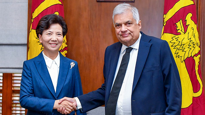 Chinese Envoy Shen Yiqin meets Sri Lanka President Ranil Wickremesinghe