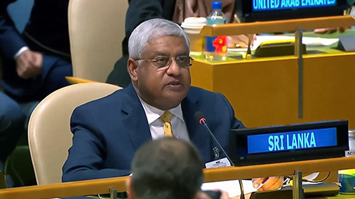 Sri Lanka's Public Security Minister Tiran Alles