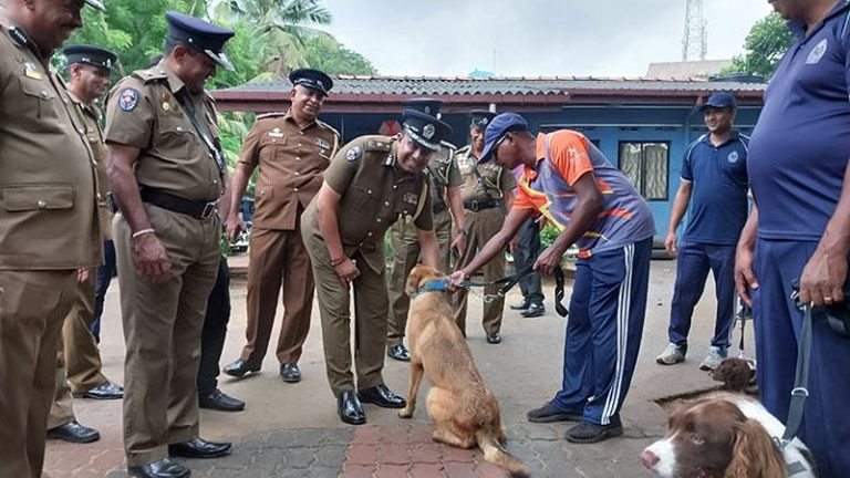 35 High-Value Police dogs arrive in Sri Lanka from the Netherlands