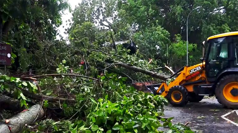 Fallen trees blocking a road in Colombo, Sri Lanka