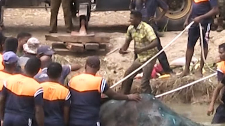 The injured wild tusker 'Bhathiya' receiving treatment in Sri Lanka