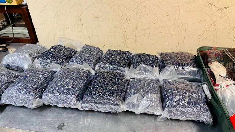 Packets of Kush seized at Bandaranaike International Airport (BIA) in Katunayake, totaling 12kg