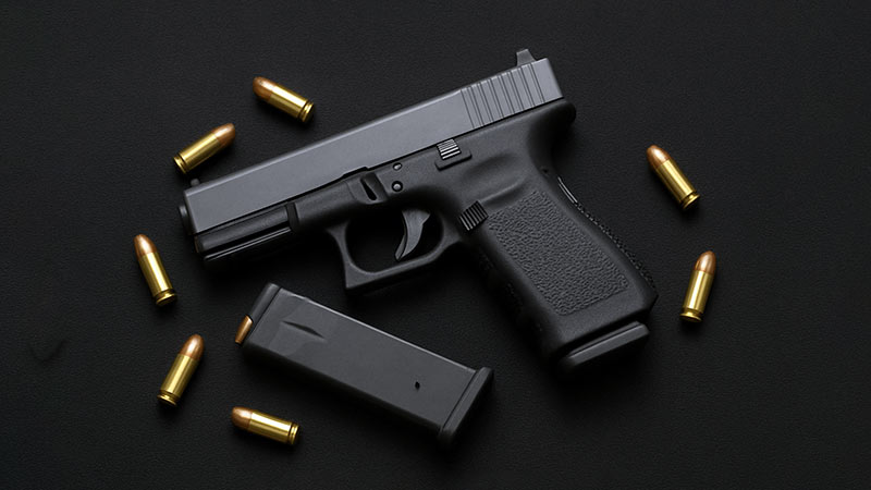 Firearms for Sri Lanka opposition MPs only after criminal report review