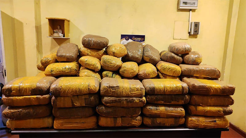 Man arrested in Ragama with 271 kg of Kerala cannabis