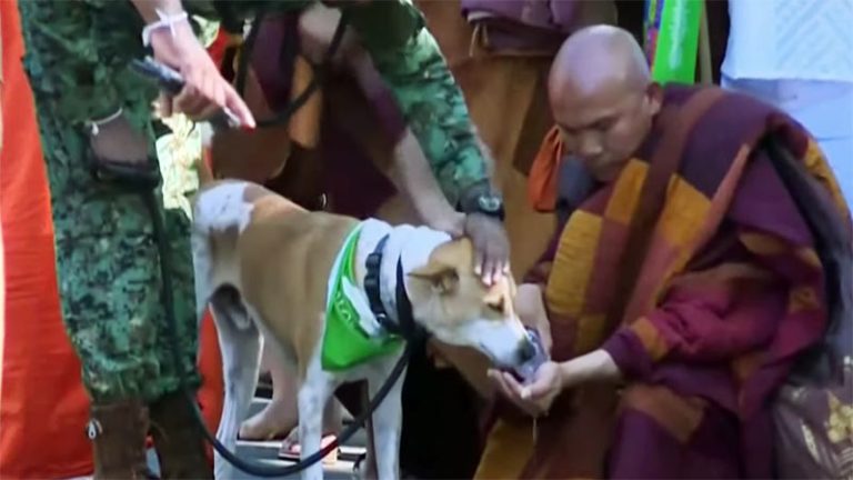 Aloka drinks water as Venerable Pannakara Thero sits on the ground and offers water from a bottle during the Ehi Passiko Walk for Peace in Sri Lanka