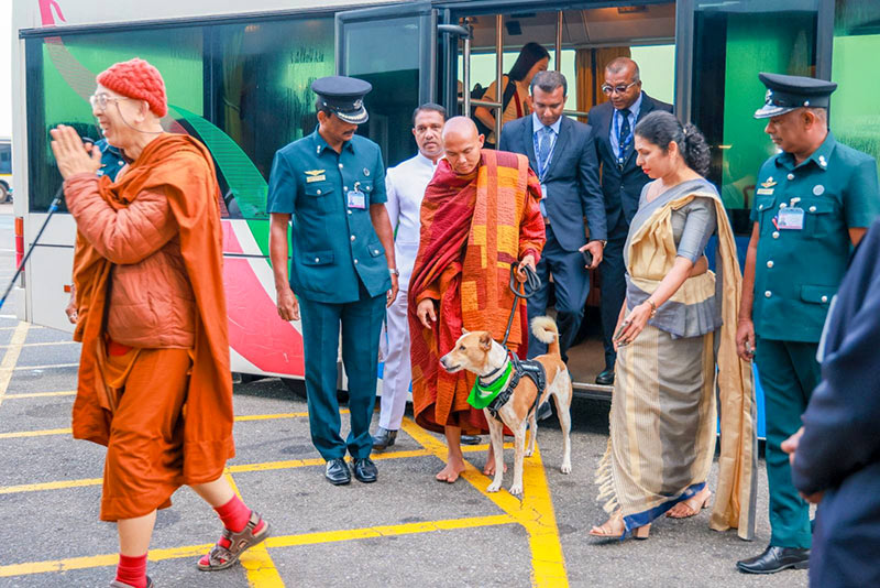 Ven. Pannakara Thero and delegation with rescue dog Aloka after arriving in Sri Lanka for the Walk for Peace