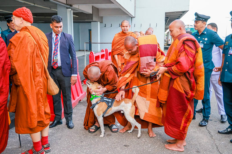 Ven. Pannakara Thero and delegation with rescue dog Aloka after arriving in Sri Lanka for the Walk for Peace