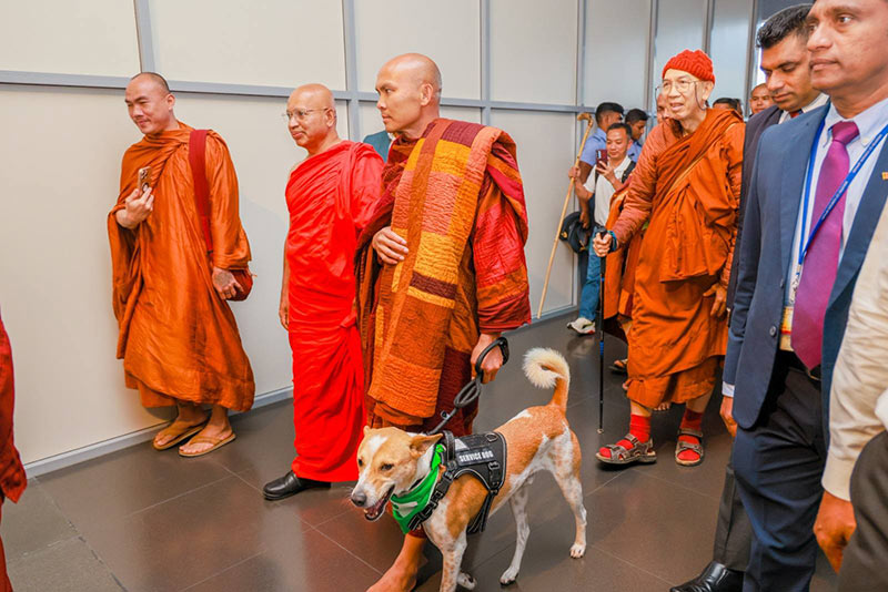 Ven. Pannakara Thero and delegation with rescue dog Aloka after arriving in Sri Lanka for the Walk for Peace