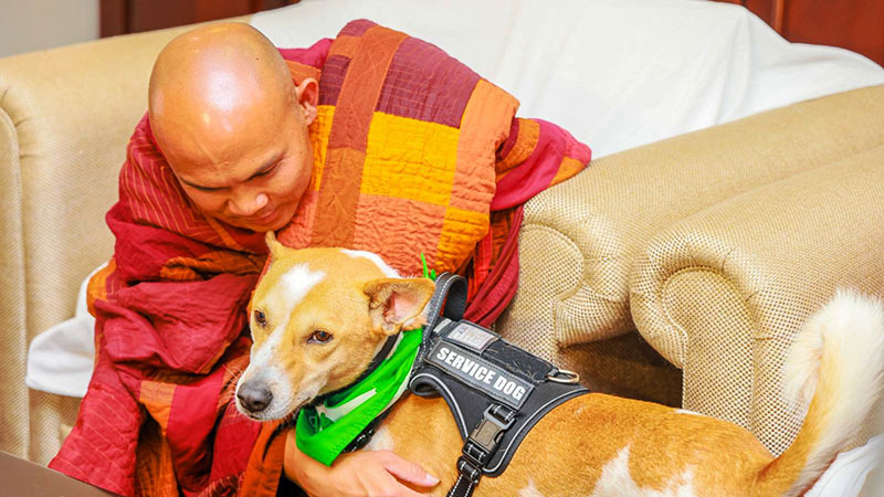 Ven. Pannakara Thero cuddles rescue dog Aloka after arriving in Sri Lanka for the Walk for Peace