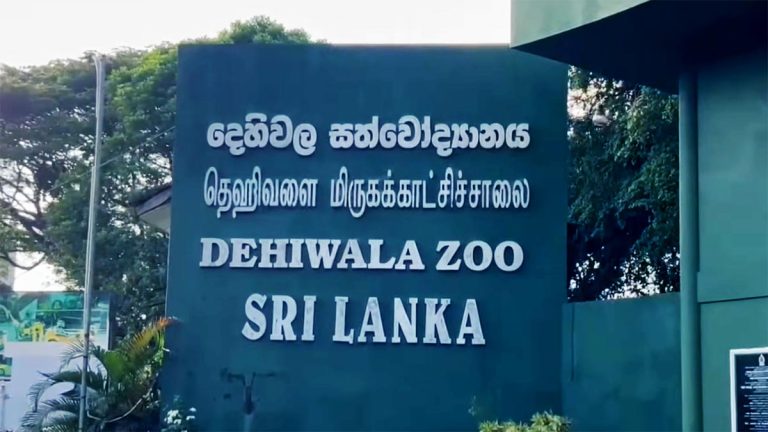 Dehiwala Zoo in Sri Lanka